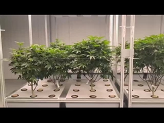 Sistema de hidroponia aeropônica de estufa