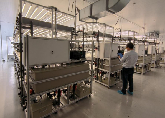 Plantio de sistemas de cultivo hidropônico de 3 metros