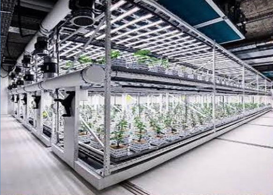 Sistema de hidroponia aeropônica personalizada para plantação